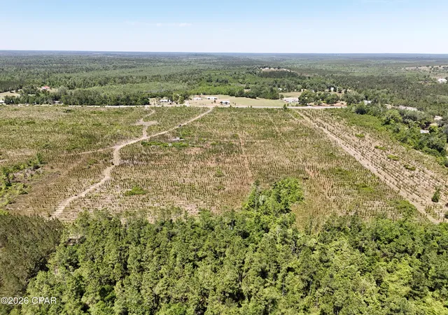 4th image of 0 Nw Cr 73 A, Altha, FL 32421 | MLS# 789606