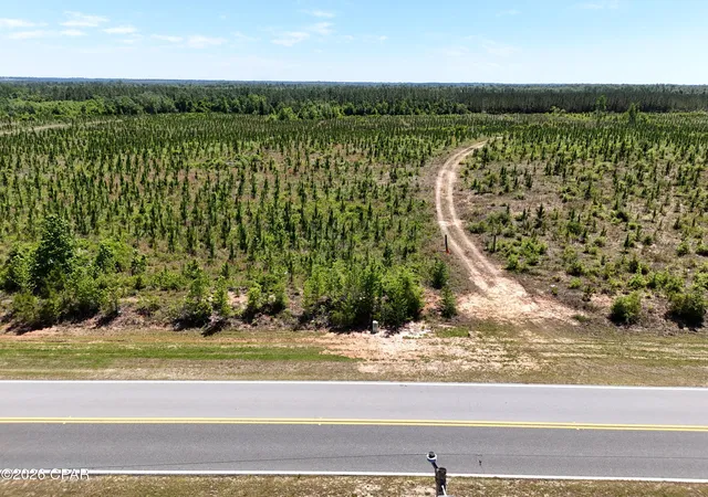 5th image of 0 Nw Cr 73 A, Altha, FL 32421 | MLS# 789606