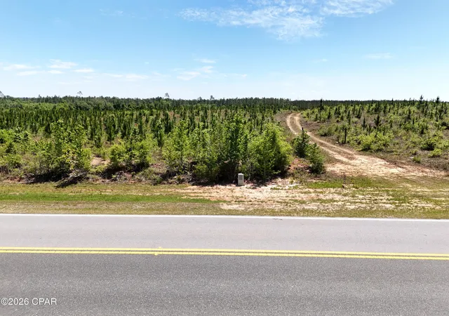 6th image of 0 Nw Cr 73 A, Altha, FL 32421 | MLS# 789606