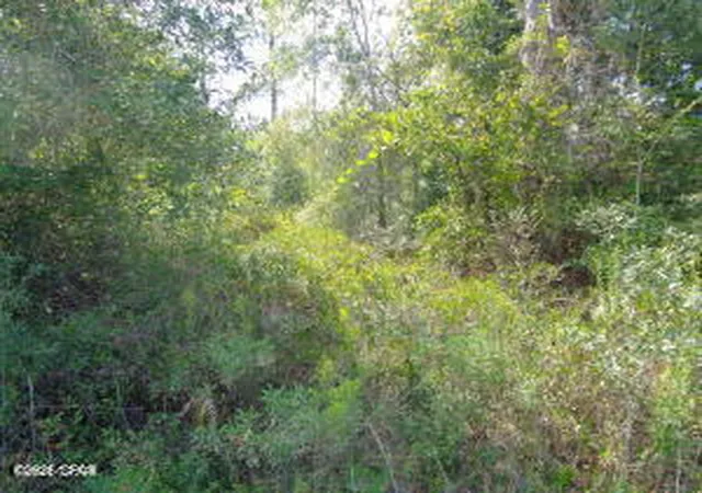 Photo 3 of Land for sale at Lot Nw 7 & 8 Mckenzie Blvd, Altha, FL 32421 | MLS# 789660 | Listing updated on 2026-05-30