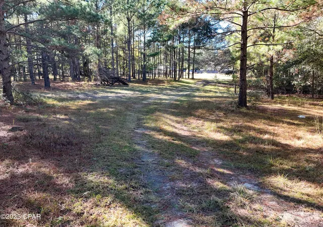 22nd image of 1680 Will Lee Rd, Bonifay, FL 32425 | MLS# 789669