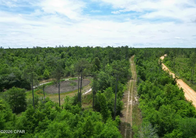 2nd image of Tbd Pittman Hill Rd, Marianna, FL 32448 | MLS# 789723