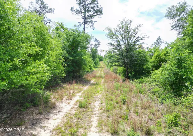 3rd image of Tbd Pittman Hill Rd, Marianna, FL 32448 | MLS# 789723