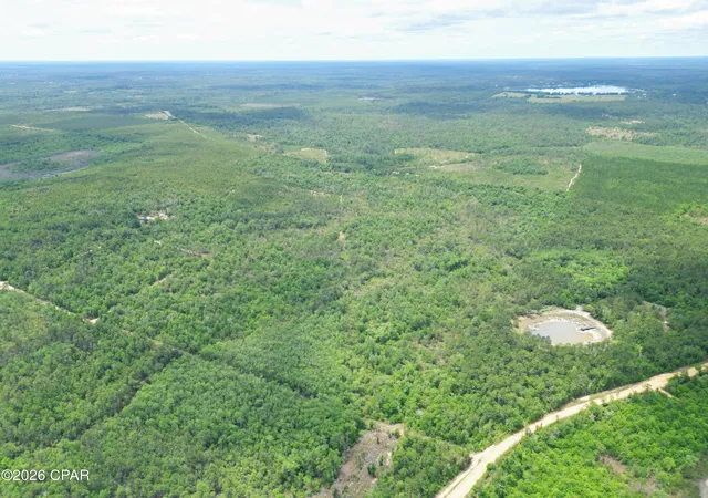 4th image of Tbd Pittman Hill Rd, Marianna, FL 32448 | MLS# 789723