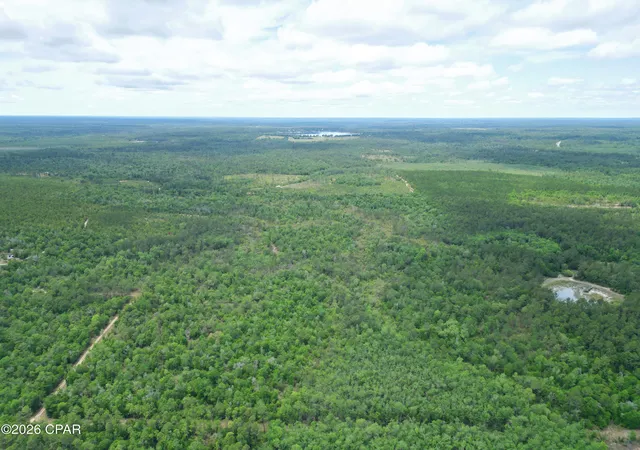 5th image of Tbd Pittman Hill Rd, Marianna, FL 32448 | MLS# 789723