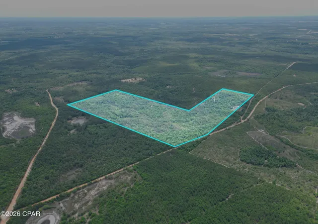 8th image of Tbd Pittman Hill Rd, Marianna, FL 32448 | MLS# 789723