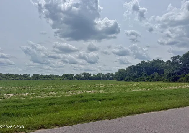 Homes for sale in Graceville, FL | 5107 Cloverdale Rd, Graceville, FL 32440 | MLS# 789737