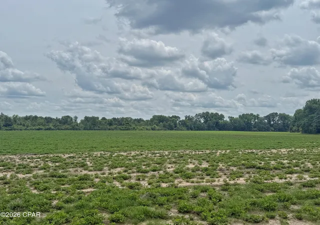 3rd image of 5107 Cloverdale Rd, Graceville, FL 32440 | MLS# 789737