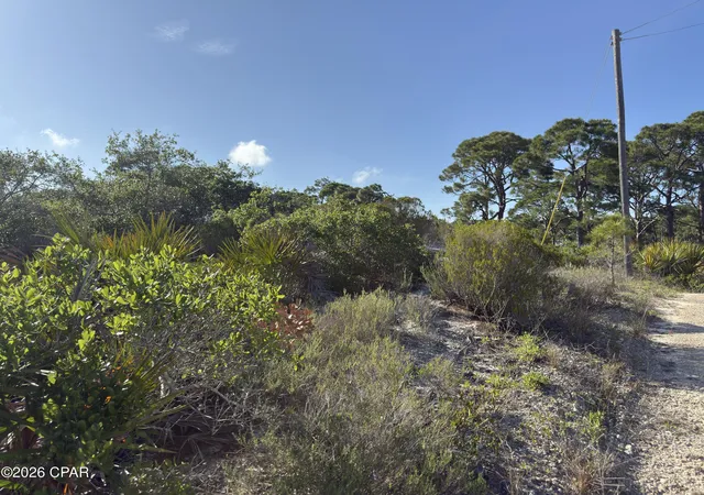 Photo 1 of Land for sale at 105 Sand Tr Dr, Port Saint Joe, FL 32456 | MLS# 789758 | Listing updated on 2026-05-30