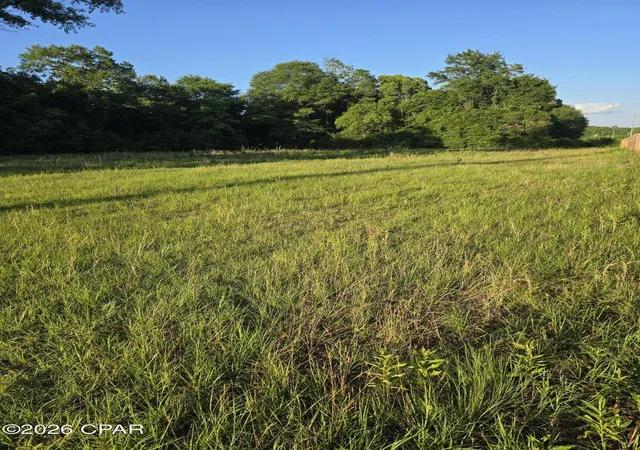 4th image of 104 N Treadwell Rd, Bonifay, FL 32425 | MLS# 789766
