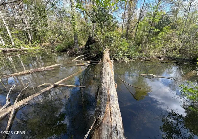 34th image of 3445 Hwy 162, Marianna, FL 32446 | MLS# 789776