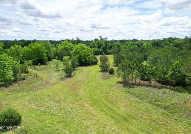 4th image of 3445 Hwy 162, Marianna, FL 32446 | MLS# 789776