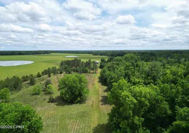 5th image of 3445 Hwy 162, Marianna, FL 32446 | MLS# 789776