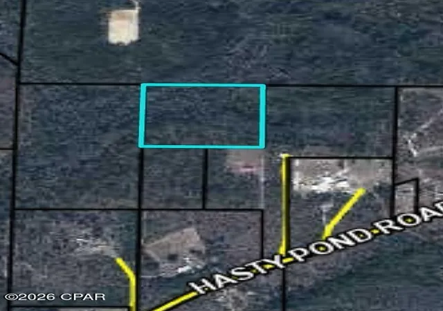 1st image of 0 Hasty Pond Rd, Marianna, FL 32448 | MLS# 789933