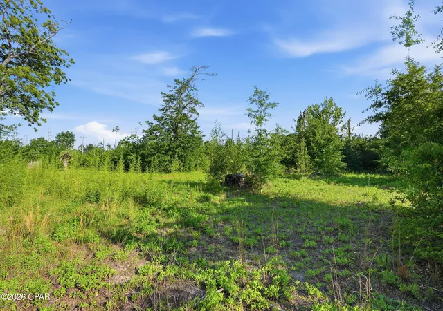 19th image of 6807 John Pitts Rd, Panama City, FL 32404 | MLS# 789937
