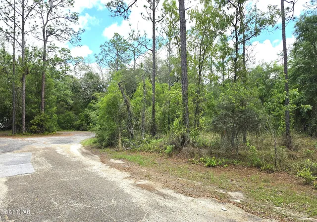 Homes for sale in Chipley, FL | 0 Fox Ct, Chipley, FL 32428 | MLS# 789948