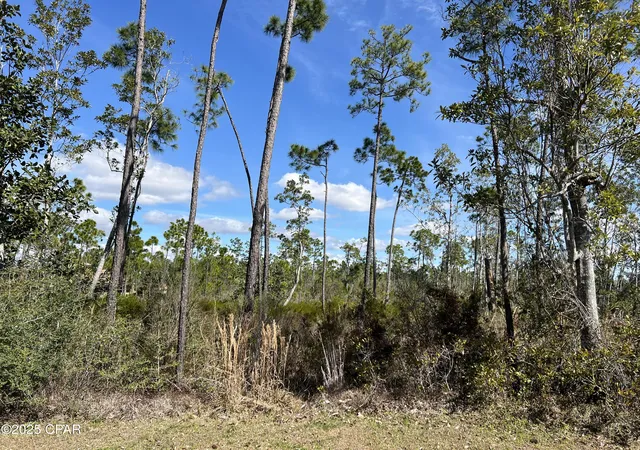 Photo 3 of Land for sale at 723 Vista Del Sol Ln, Panama City, FL 32404 | MLS# 790066 | Listing updated on 2026-06-03