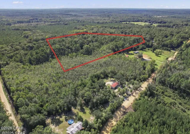 Homes for sale in Caryville, FL | 00 St Marys Rd, Caryville, FL 32427 | MLS# 790180