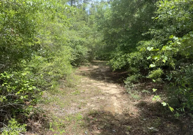 5th image of 0000 Avon St, Chipley, FL 32428 | MLS# 790234