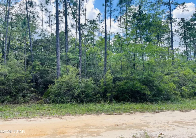 3rd image of Tbd Chaco Cir, Alford, FL 32420 | MLS# 790283