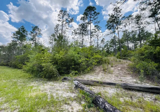 4th image of Tbd Chaco Cir, Alford, FL 32420 | MLS# 790283