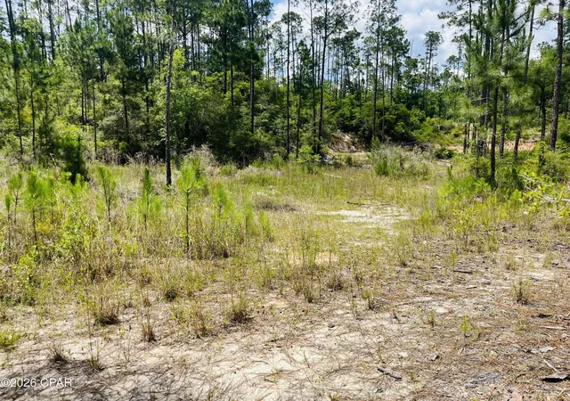 Homes for sale in Alford, FL | Tbd Chaco Cir, Alford, FL 32420 | MLS# 790283