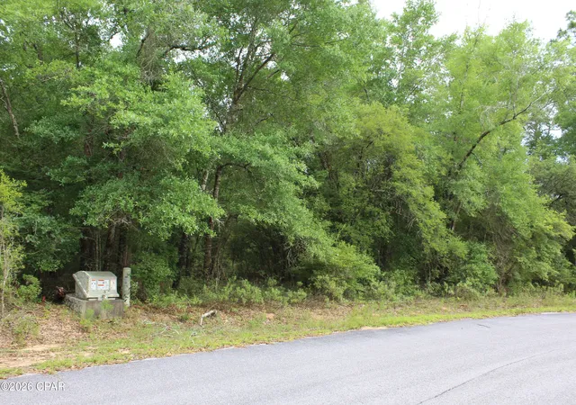 1st image of 4148 Arnone Ln, Chipley, FL 32428 | MLS# 790291
