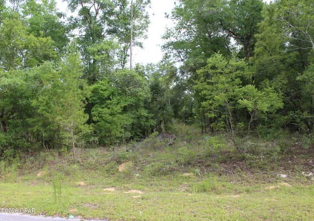 3rd image of 4148 Arnone Ln, Chipley, FL 32428 | MLS# 790291