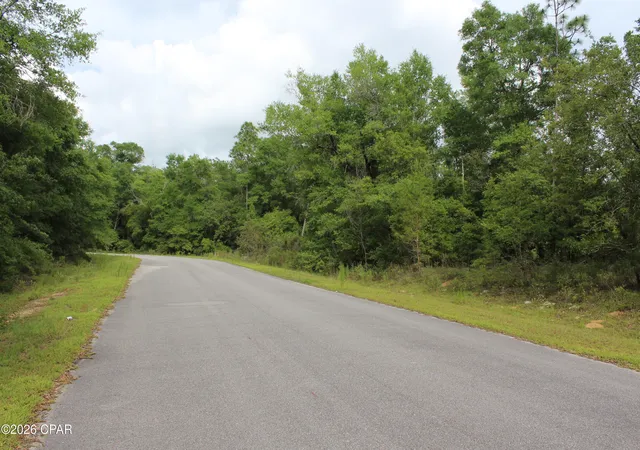 4th image of 4148 Arnone Ln, Chipley, FL 32428 | MLS# 790291