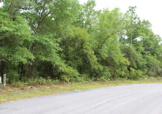 5th image of 4148 Arnone Ln, Chipley, FL 32428 | MLS# 790291