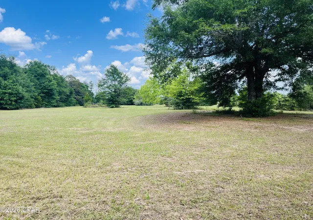 4th image of Tbd Campbell Cir, Alford, FL 32420 | MLS# 790295