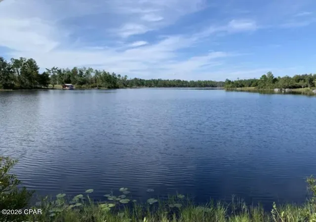 7th image of Tbd Campbell Cir, Alford, FL 32420 | MLS# 790295