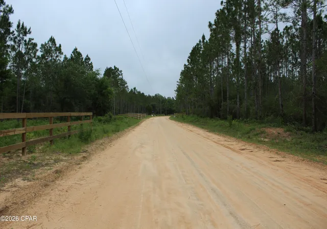 13th image of Lot 4 & 5 Pleasant Hl Rd, Bonifay, FL 32425 | MLS# 790456