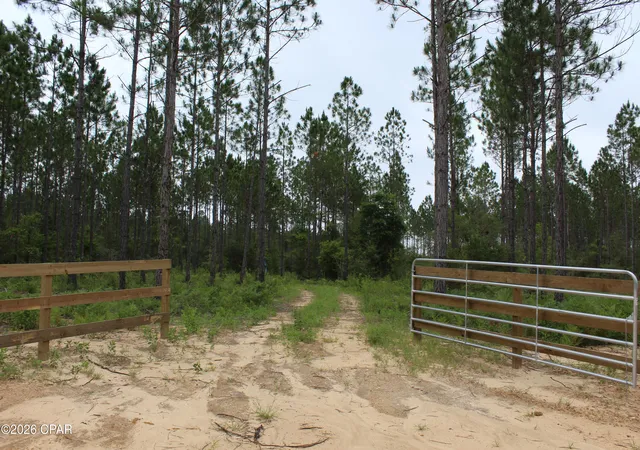 5th image of Lot 4 & 5 Pleasant Hl Rd, Bonifay, FL 32425 | MLS# 790456
