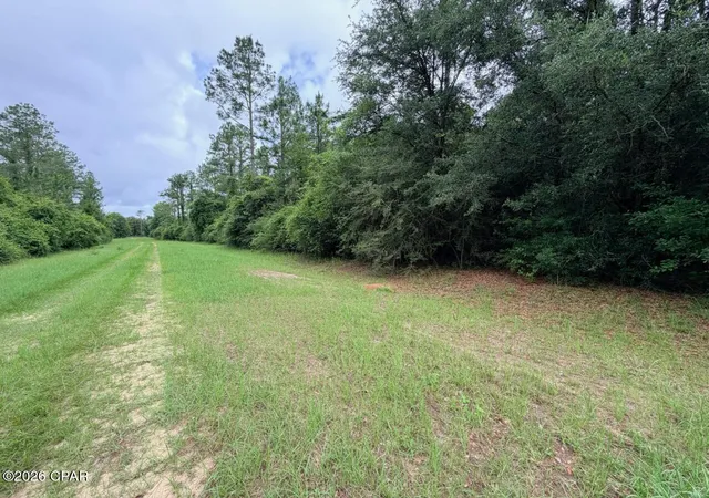 Homes for sale in Westville, FL | Tbd Sumac Rd, Westville, FL 32464 | MLS# 790496