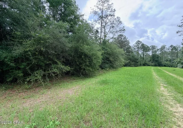 Homes for sale in Westville, FL | Tbd Sumac Rd, Westville, FL 32464 | MLS# 790496