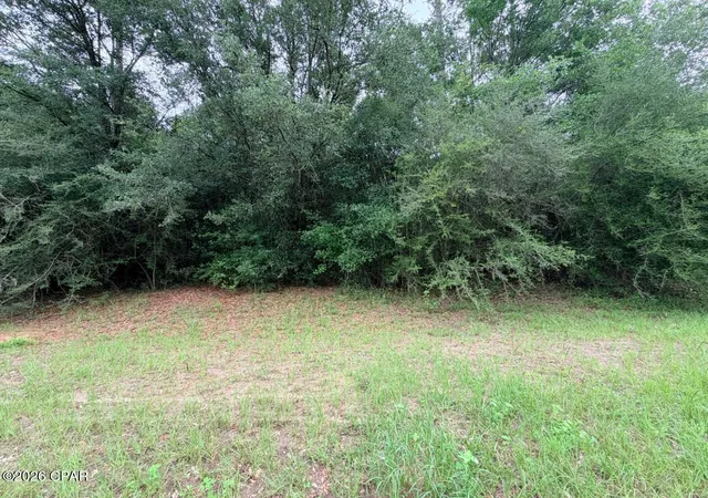 Homes for sale in Westville, FL | Tbd Sumac Rd, Westville, FL 32464 | MLS# 790496