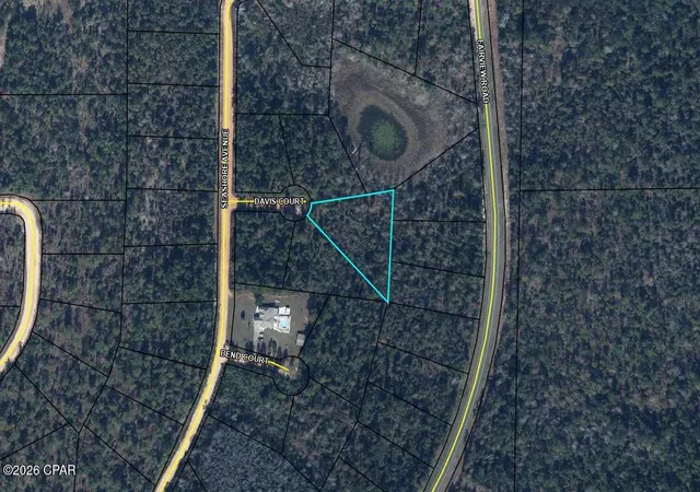 26th image of Tbd Davis Ct, Alford, FL 32420 | MLS# 790528