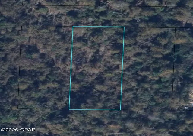 5th image of Lot 9 10 Drew Hall, Altha, FL 32421 | MLS# 790554