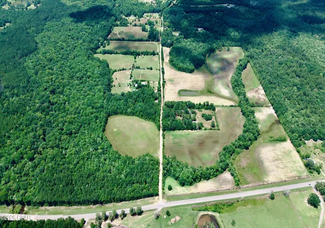 Homes for sale in Esto, FL | 105 Acres Fl-2, Esto, FL 32425 | MLS# 790686