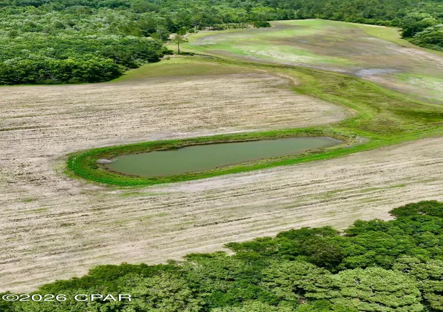 Homes for sale in Esto, FL | 105 Acres Fl-2, Esto, FL 32425 | MLS# 790686