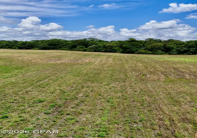 Homes for sale in Esto, FL | 105 Acres Fl 2, Esto, FL 32425 | MLS# 790686