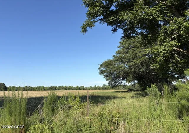 Homes for sale in Graceville, FL | 0 Galloway Rd, Graceville, FL 32440 | MLS# 790832
