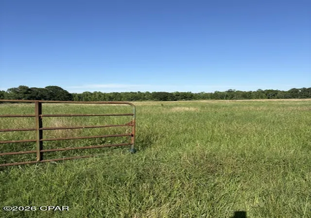 Homes for sale in Graceville, FL | 0 Galloway Rd, Graceville, FL 32440 | MLS# 790832