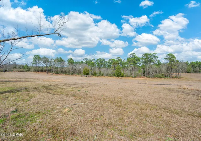 Photo 3 of Land for sale at 686 Alford Rd #B, Defuniak Springs, FL 32433 | MLS# 790846 | Listing updated on 2026-07-02