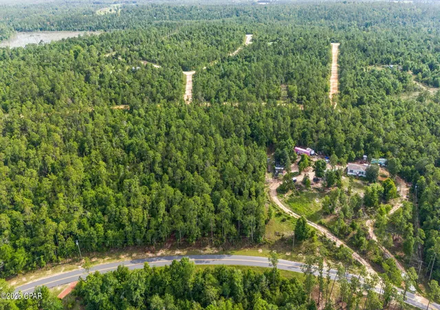 5th image of Xxx View Dr, Alford, FL 32420 | MLS# 790853