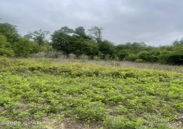 4th image of Tbd Blue Springs Rd, Greenwood, FL 32443 | MLS# 790870