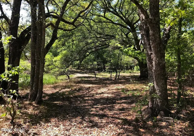 2nd image of 0 Little Zion Rd, Sneads, FL 32460 | MLS# 790899
