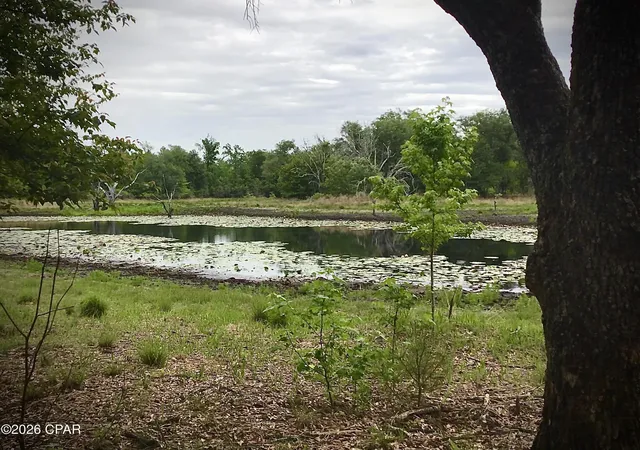 4th image of 0 Little Zion Rd, Sneads, FL 32460 | MLS# 790899
