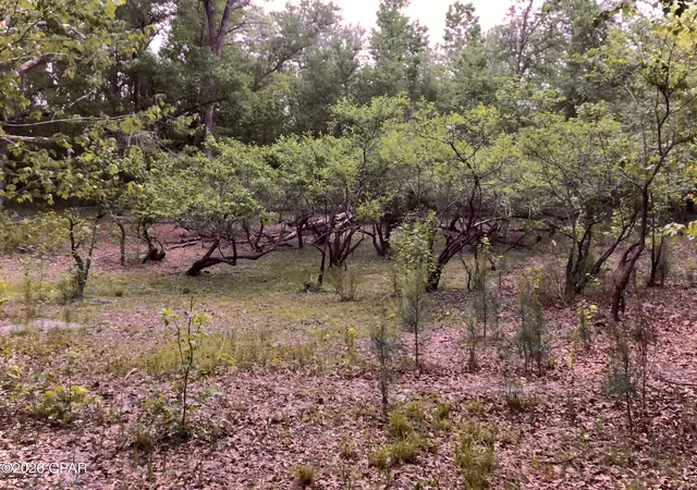 5th image of 0 Little Zion Rd, Sneads, FL 32460 | MLS# 790899